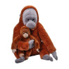 Kramgoa orangutanger