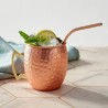 Cocktailmuggar Moscow Mule i rostfritt