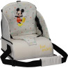 Resesits Mickey Mouse
